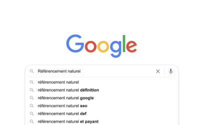 Referencement naturel : SEO = Search Engin Optimisation