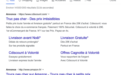 Référencement payant : SEA = Search Engin Advertising
